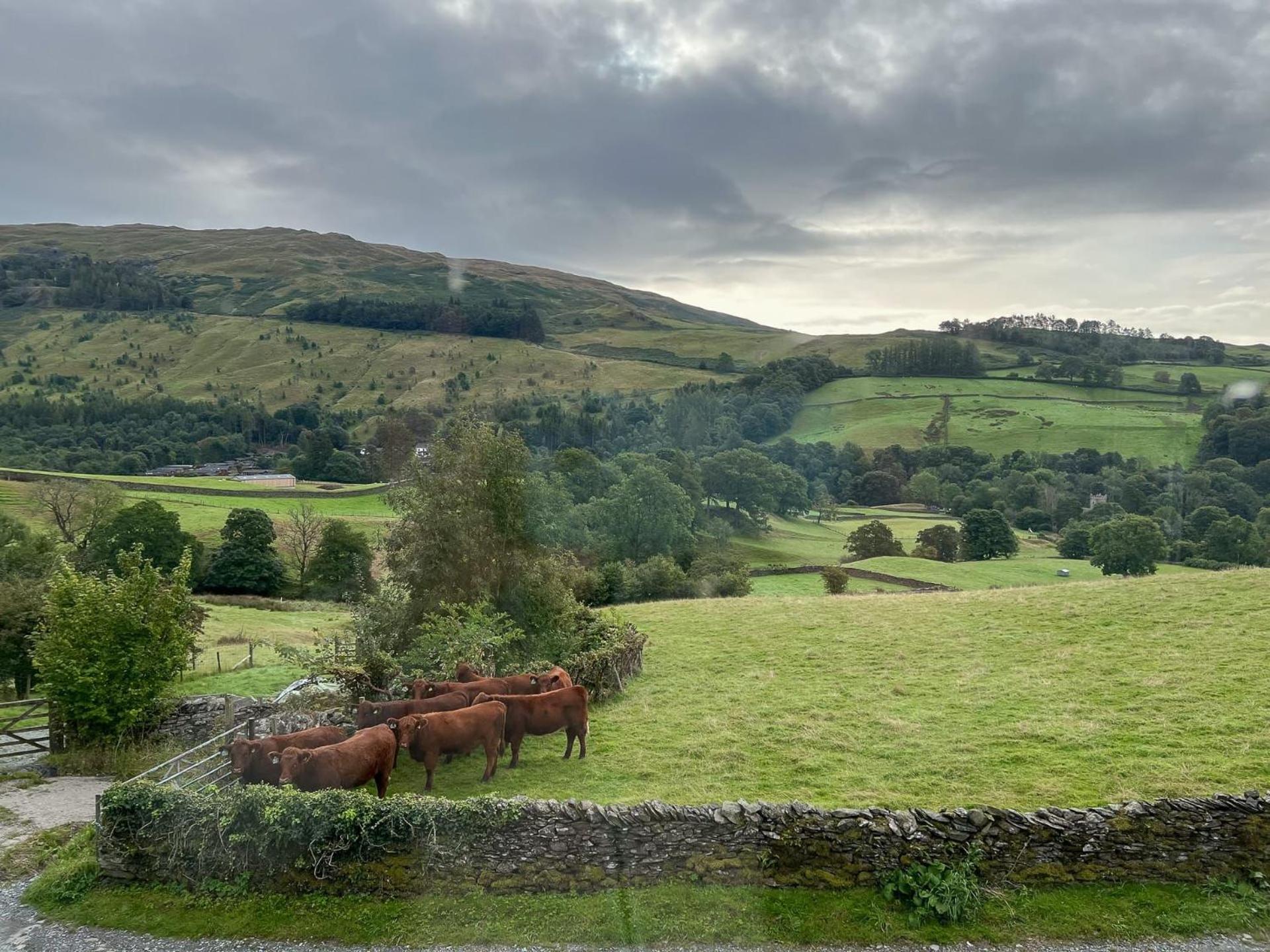 Orchard Mount Villa Troutbeck  Exterior photo